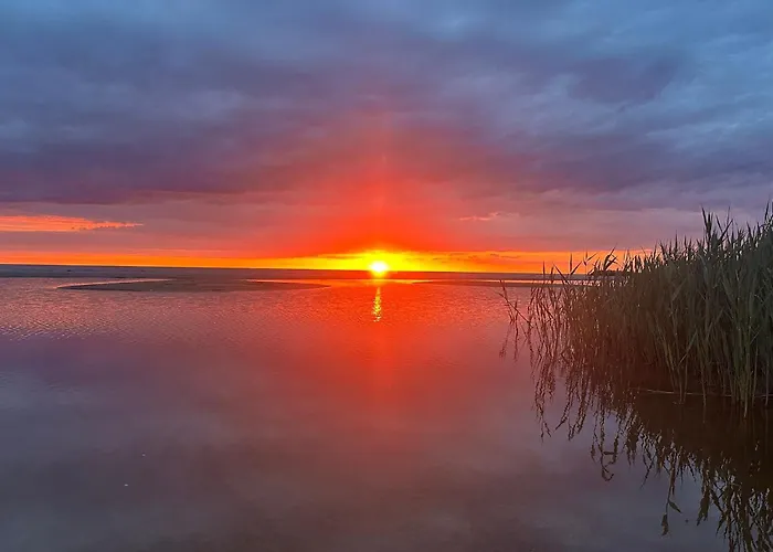 Teeveere Summer House Privatunterkunft